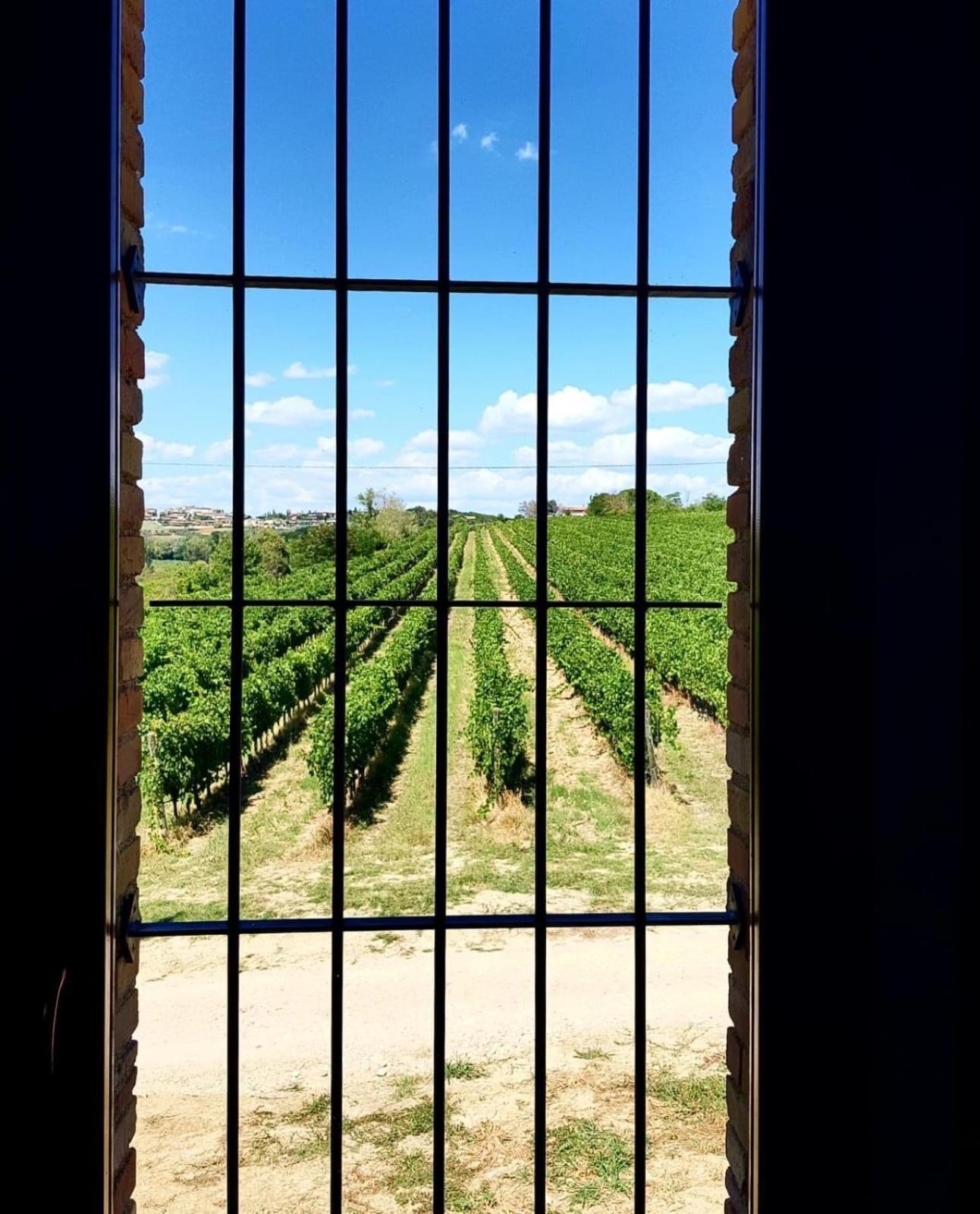 Agriturismo Il Divin Casale Торджано Экстерьер фото